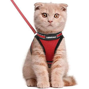rabbitgoo Cat Harness and Leash Set for  Adjustable Soft Kittens Vest with Reflective Strip for Cats, Comfortable Outdoor Vest, Red, L - 1 of 1