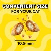 Temptations Lobster and Beef Flavor Birthday Cat Treats - 3 of 4