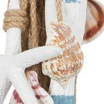 Cream Shell and Starfish