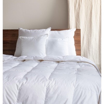 White 20" x 20" Down Alternative Throw Pillow Inserts, Set of 2