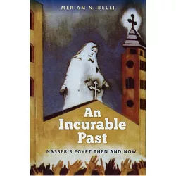An Incurable Past - by  Mériam N Belli (Paperback)