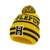 Harry Potter Adult Hogwarts Collegiate Knit Winter Cuff Beanie Hat and Scarf Set - 2 of 4
