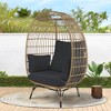 DOMETOUR Stationary Egg Chair with Navy Blue Cushions - 2 of 3