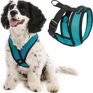Gooby Comfort X Headin Harness ¨C Medium Dog Harness (9¨C15 lbs), Turquoise, No Pull, Choke - 1 of 1