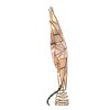 Kurt Adler 9.65-Inch UL 10-Light 8-Point Capiz Star Lighted Tree Topper - 3 of 4