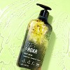 Quiet & Roar Pineapple & Kiwi Body Wash made with Essential Oils - 16 fl oz - image 3 of 4