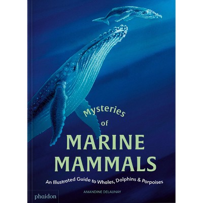 Mysteries of Marine Mammals - by  Amandine Delaunay (Hardcover)
