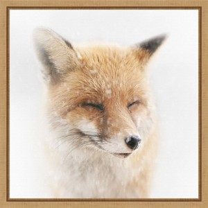 Amanti Art Satisfied Fox by Doris Reindl Canvas Wall Art Print Framed 16-in. x 16-in. - 1 of 4