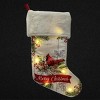 Season's Designs 19" Red Cardinal on Tree Branch Christmas Stocking with LED Lights Battery Operated, Multicolored Indoor Decor, Requires 2 AA - 2 of 4