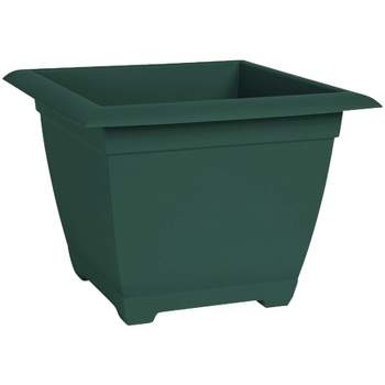 Bloem Dayton Ocean 11 in. H X 15 in. W X 15 in. D Resin Planter Box Turtle Green