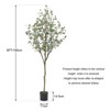 Acekool Artificial Eucalyptus Tree with White Silver Dollar Leaves, Realistic Faux Floor Plant & Stable Cement Pot for Indoor & Outdoor Decor - 2 of 4
