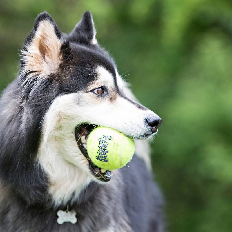 KONG SqueakAir Tennis Ball Dog Toy - Yellow, 4 of 11