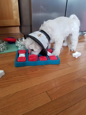 Outward Hound Twister Puzzle Toy — Jeffrey's Natural Pet Foods