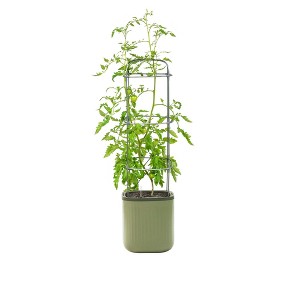 Vego Garden Self-Watering Rolling Tomato Rectangular Indoor Outdoor Planter Pot with Trellis 15"x15"x55" - 1 of 4