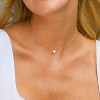 14K Gold/Silver Plated Heart & Bee Necklace, Adjustable Dainty Choker with Disc Pendant, Minimalist Jewelry Gift for Women - 3 of 4