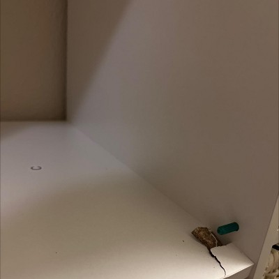 Guest review image 1 of 1, zoom in