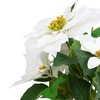 Northlight 14.5" White and Brown Artificial Christmas Poinsettia Flower Plant with Pot - 3 of 3