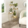 Kate and Laurel Finn Plant Stand, 10x11x44, Gold - 4 of 4