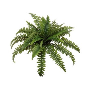 Floral Home 34" Wide Boston Fern with 35 Lifelike Fronds - 6-Piece - 1 of 4