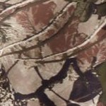woods camo