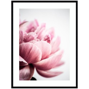 Kate and Laurel Pink Peony No1 by Mareike Bohmer Framed Wall Art Print, 31 x 41, Svelte Noir Black - 1 of 4