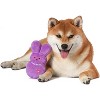 Peeps for Pets Dress Up Plush Bunny Toy for Dog- Purple - 4 of 4