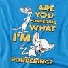 Men's Pinky And The Brain Pondering T-Shirt - 2 of 4