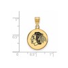 Black Bow Jewelry 14k Yellow Gold Plated Sterling Silver Chicago Blackhawks NHL Medium Pendant - 2 of 3