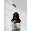 Horbaach Echinacea Goldenseal Liquid Extract | 2 fl oz - 3 of 3