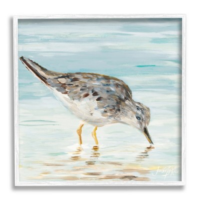 Stupell Industries Sandpiper Hunting on Beach Coast Shallow Nautical Waters