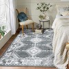 Coucheta Farmhouse Area Rug Washable Low Pile Non-Slip Indoor Carpet for Bedroom Kitchen Playroom,  Multi-Color & Size - 2 of 4