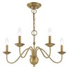 Livex Lighting Windsor 5 - Light Chandelier in  Antique Brass - image 4 of 4