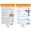 NewPath Learning Usage: Sentences & Grammar Rules Bulletin Board Activity Chart Set - 3 of 4
