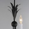 Maxim Lighting Paloma 5 - Light Chandelier in  Anthracite - 2 of 3