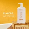 Native Fall Limited Edition Volumizing Toasted Vanilla & Honey Shampoo 16.5 - fl oz - 2 of 4