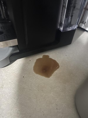 Guest review image 1 of 2, zoom in