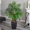HomeStock  7 ft. Artificial Palm Tree in Planter for Indoor/Outdoor - 2 of 3