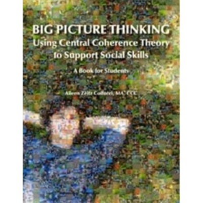 Big Picture Thinking - Using Central Coherence Theory to Support Social Skills - by  Aileen Callucci Ma CCC (Paperback)