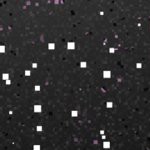 st louis cardinals 1950s