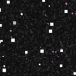 st louis cardinals 1950s