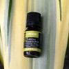 Plantlife Awake Essential Oil Blend – 100% Pure, Therapeutic Grade – No Additives or Fillers – Made in California – 10ml - 4 of 4