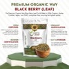 Organic Blackberry Leaf Cut & Sifted 1 Lbs - 4 of 4