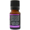 Plantlife Inspire Aromatherapy Essential Oil Blend – 100% Pure, Therapeutic Grade, No Additives or Fillers, Made in California, 10 ml - 2 of 4