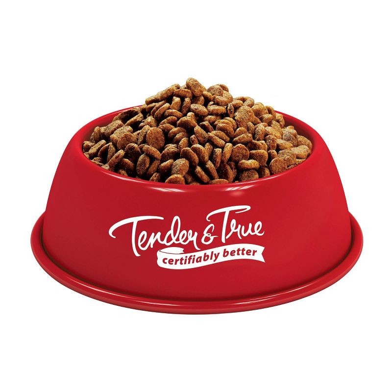 Tender & True Turkey and Brown Rice Recipe Dry Dog Food, 4 of 8