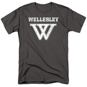 Men's Wellesley College Official Distressed Primary Logo T-Shirt - 1 of 4
