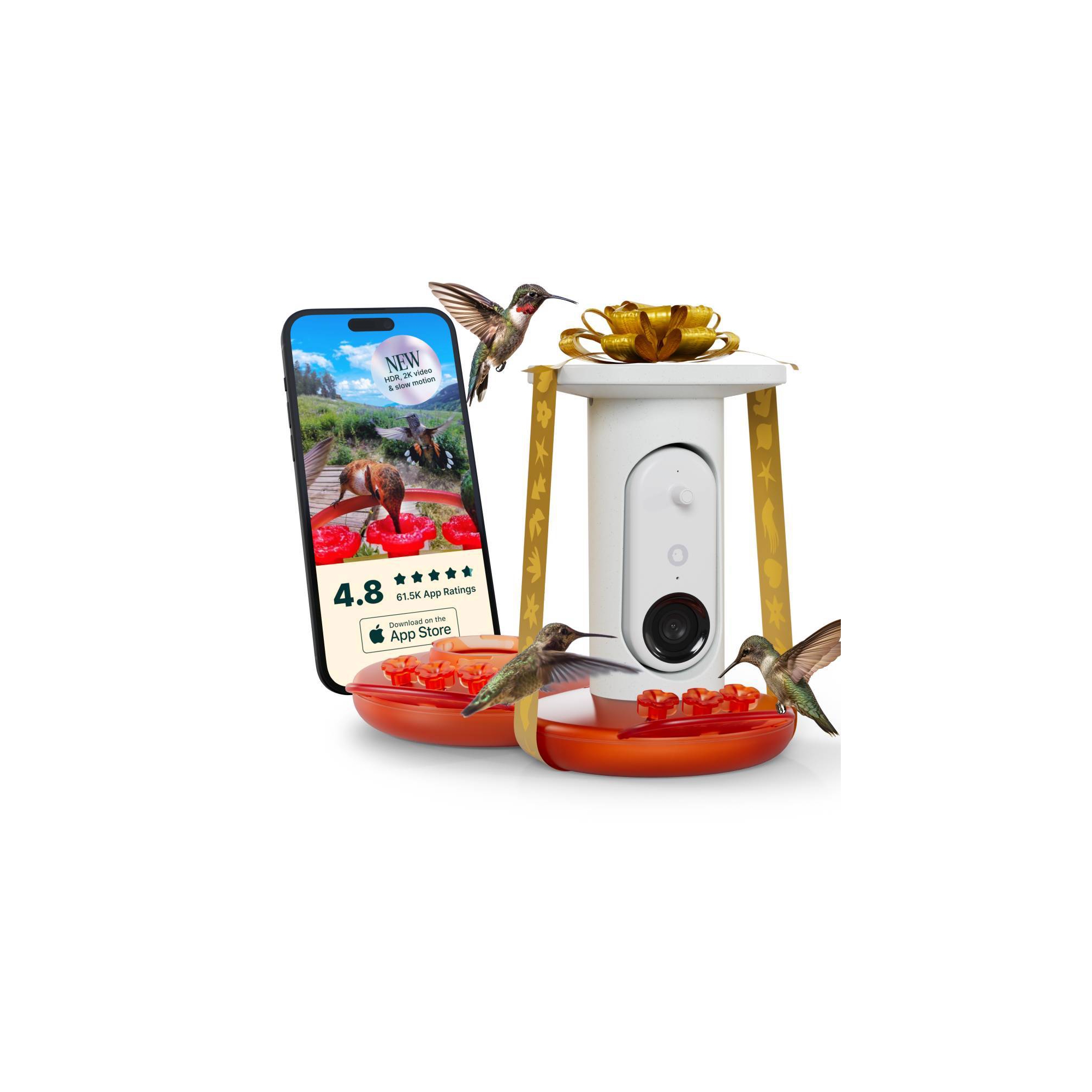 Birdbuddy Pro Solar Smart Hummingbird Feeder + Extra Base