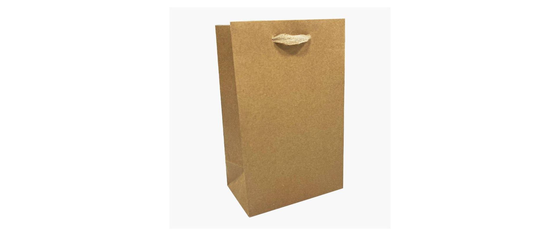 Bows And Sparkles XS Jr Tote Gift Bag Kraft Natural