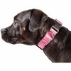 Angel Sar 360° Breathable Mesh Dog Collar, Dual-Sided Adjustable Nylon-Free Collar with Stainless Steel D-Ring, Pink - 2 of 4