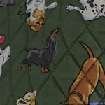 dog park