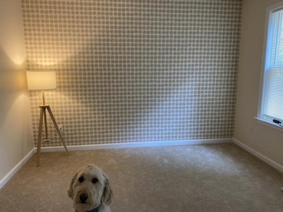 Guest review image 1 of 1, zoom in